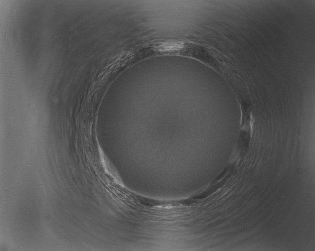 X0000085281441200703161411