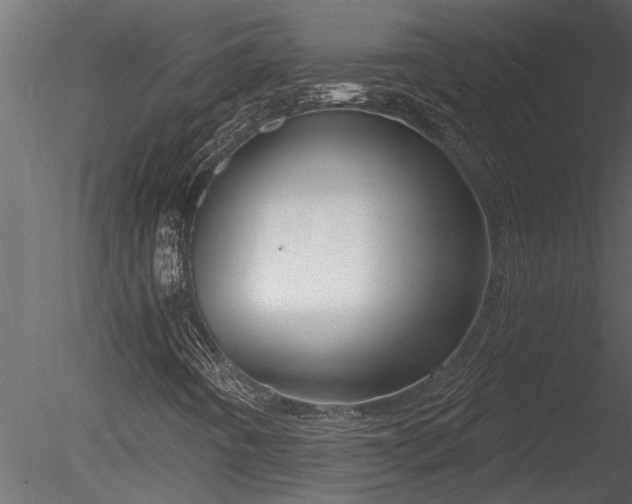 X0000085281442200703161411