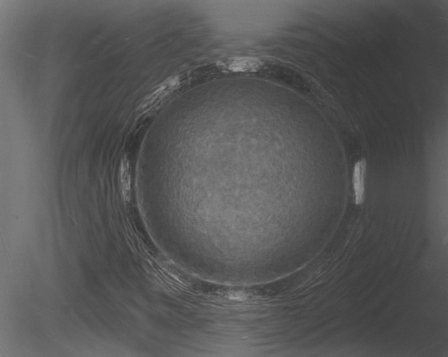 X0000085281443200703161411