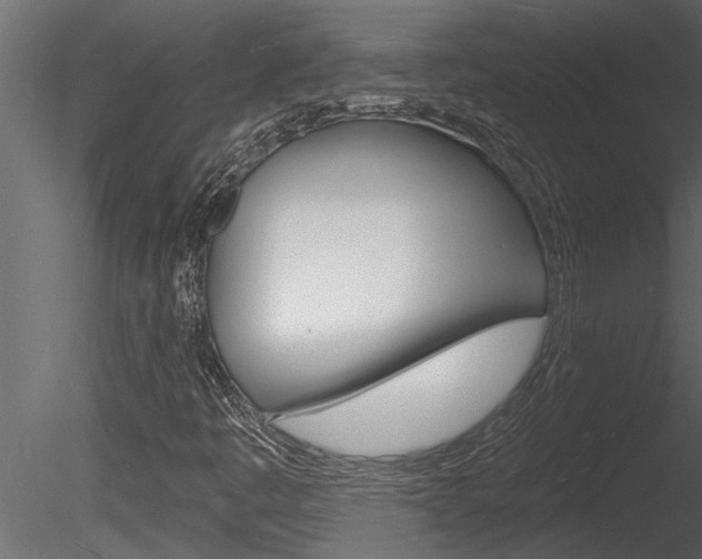X0000085281445200703161411