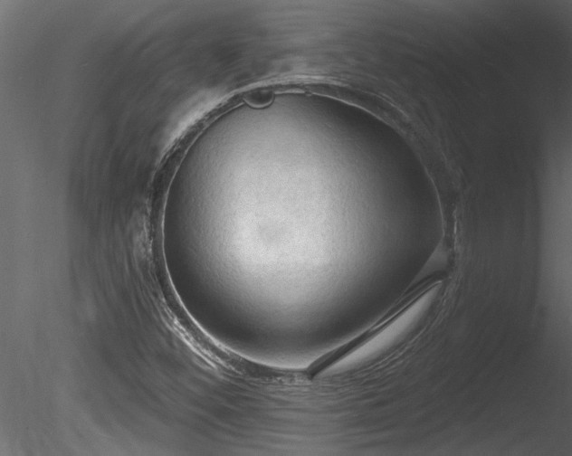 X0000085281452200703161410