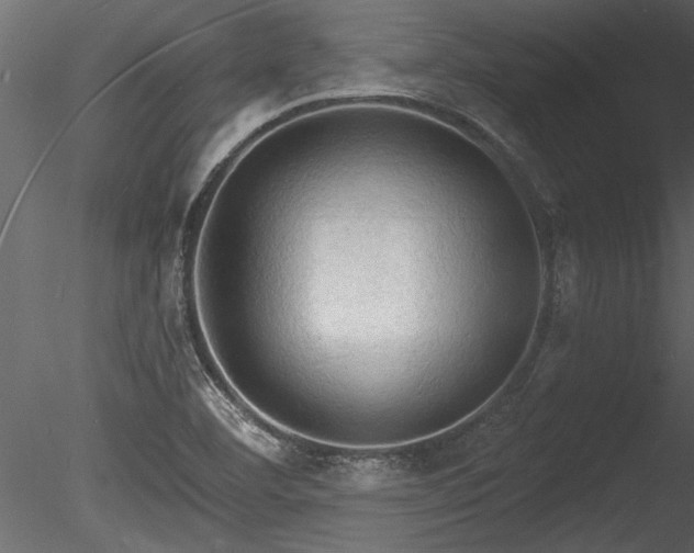 X0000085281460200703161410