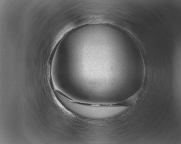 X0000085281476200703161410