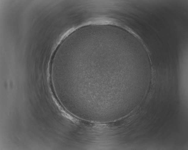 X0000085281477200703161410