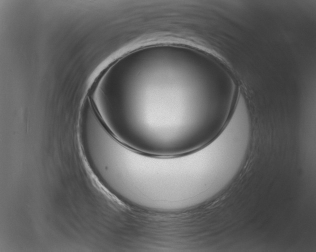 X0000085281518200703161409