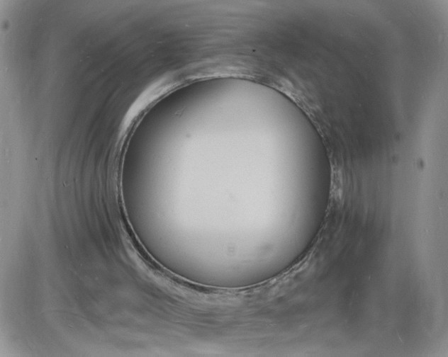 X0000085280004200703231819