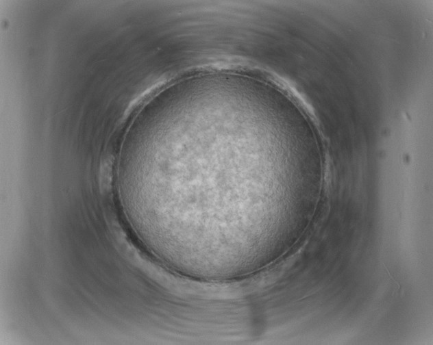 X0000085280010200703231819