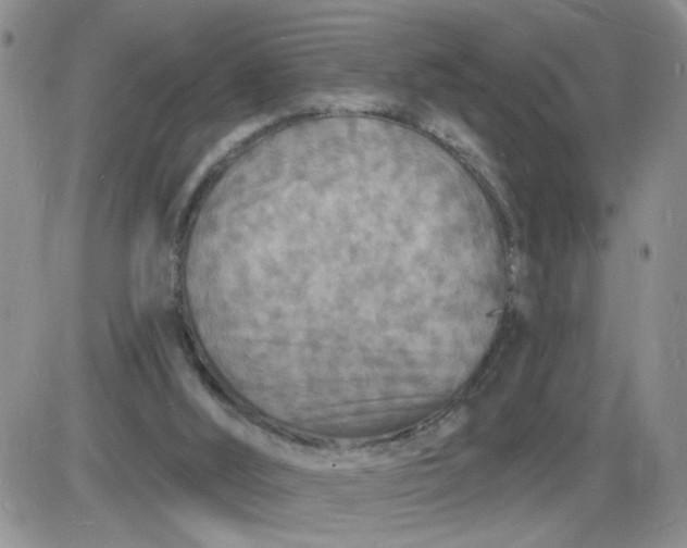 X0000085280012200703231819