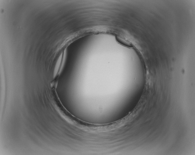 X0000085280013200703231819