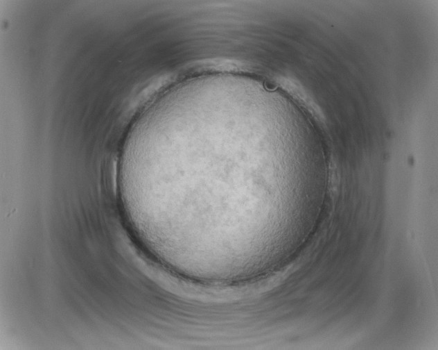 X0000085280014200703231819