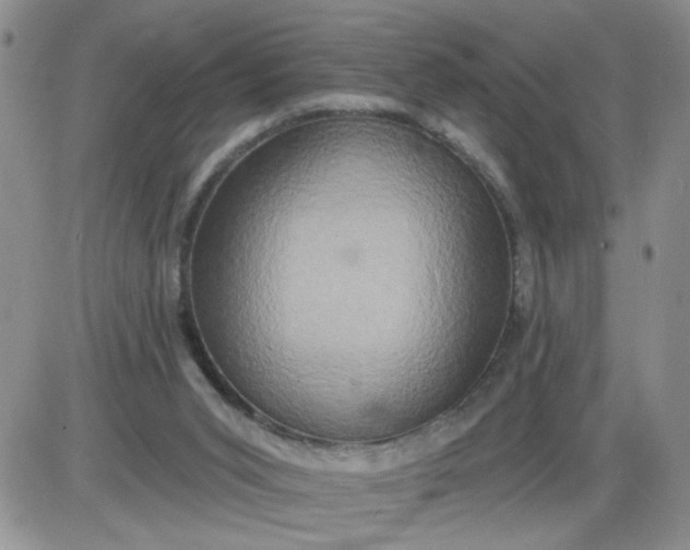 X0000085280015200703231819