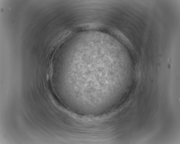 X0000085280022200703231819