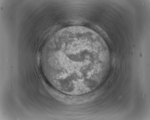 X0000085280026200703231818