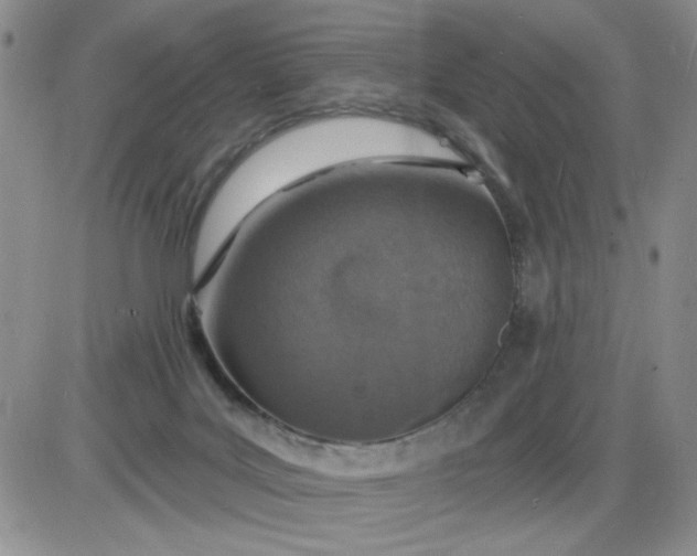 X0000085280027200703231818