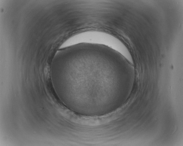 X0000085280029200703231818