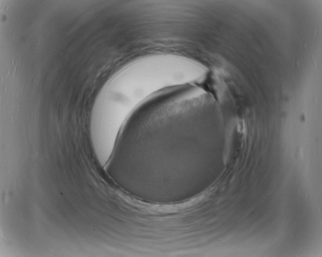 X0000085280031200703231818