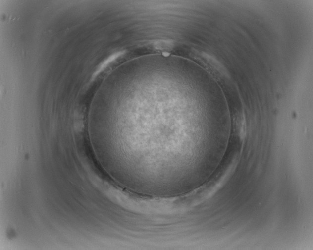 X0000085280032200703231818
