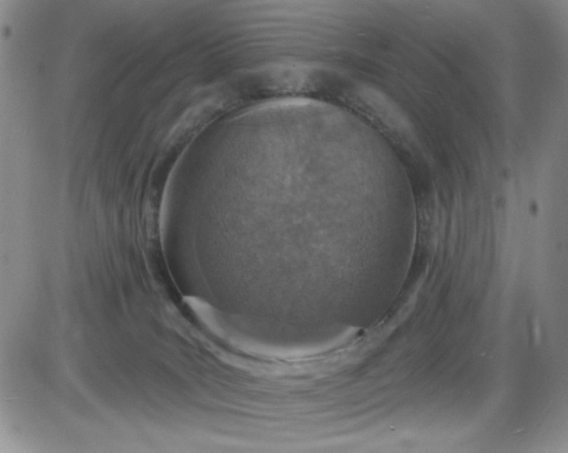 X0000085280035200703231818