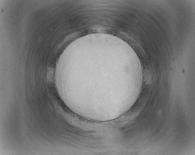 X0000085280036200703231818