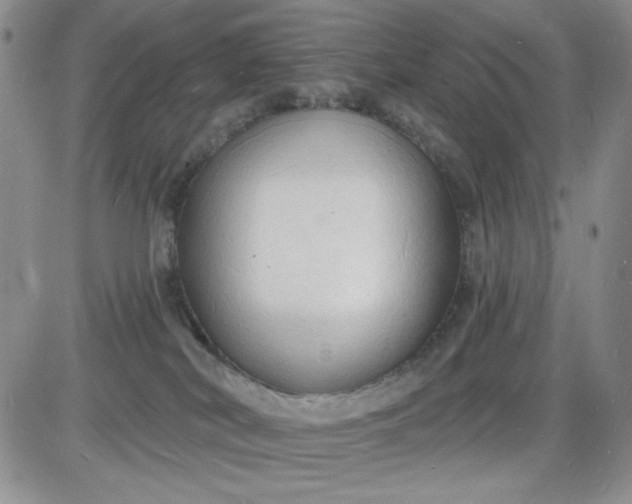X0000085280038200703231818