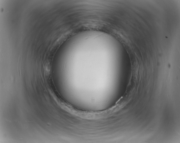 X0000085280040200703231818