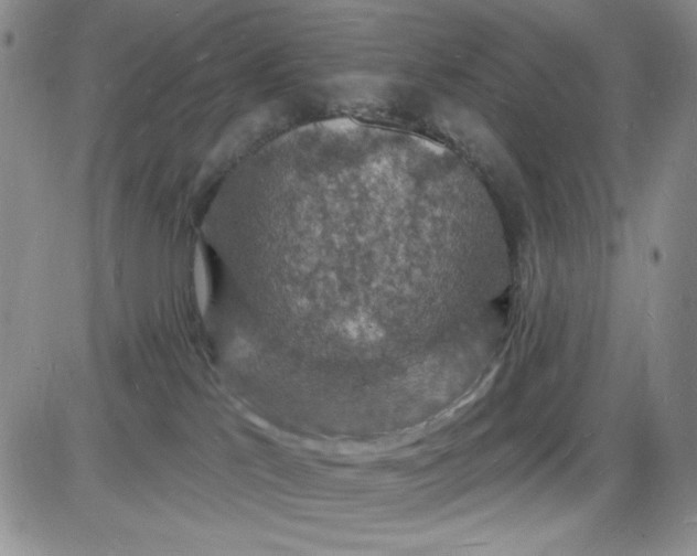 X0000085280041200703231818