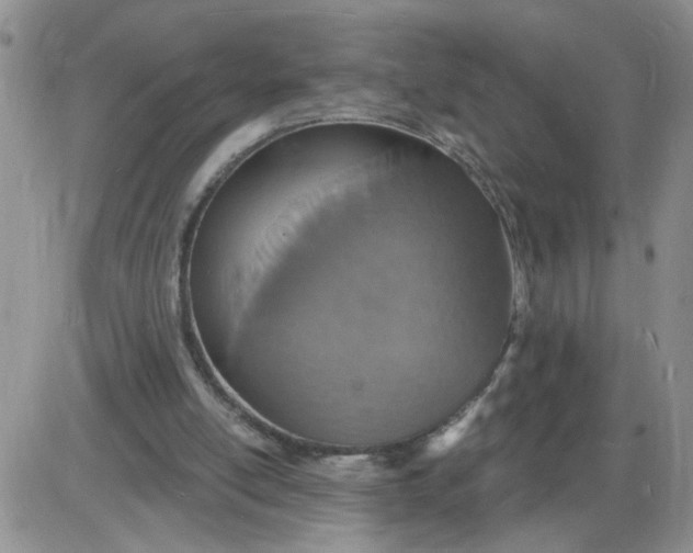 X0000085280054200703231817