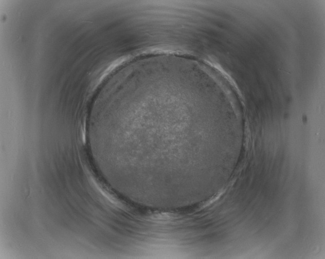 X0000085280062200703231818