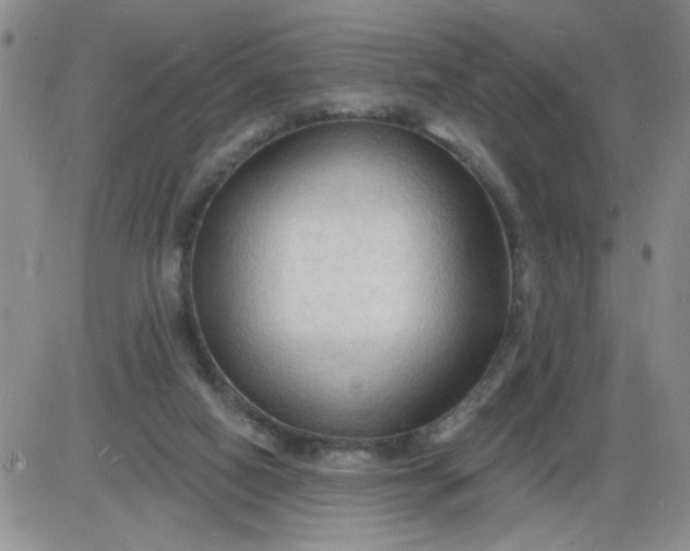 X0000085280066200703231818