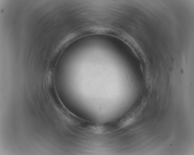 X0000085280071200703231818