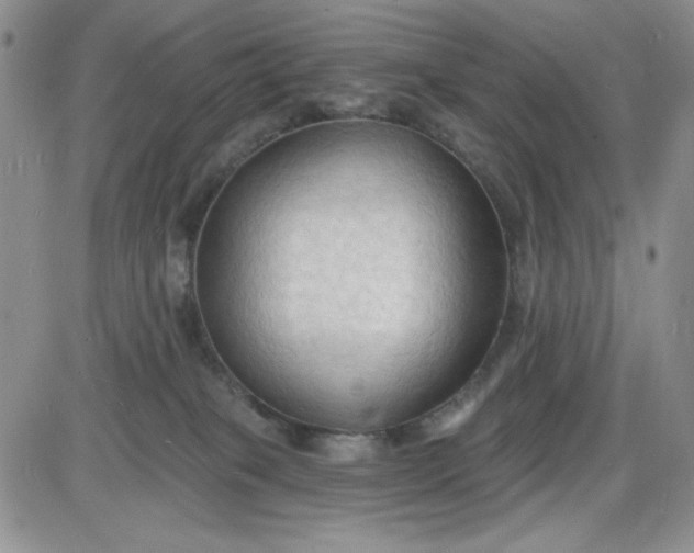 X0000085280085200703231818