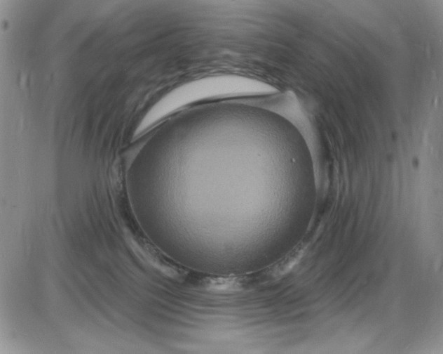 X0000085280088200703231818