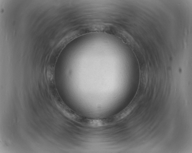 X0000085280091200703231818