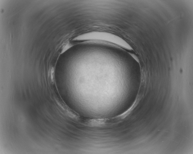 X0000085280094200703231818