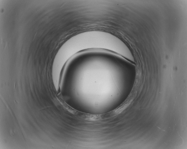X0000085280096200703231818
