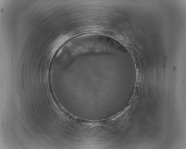 X0000085280099200703231817