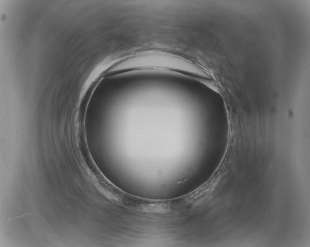 X0000085280102200703231817