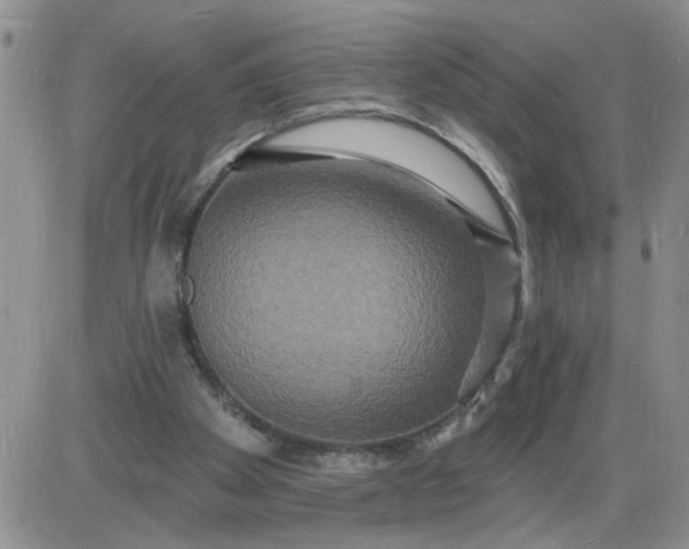 X0000085280105200703231817