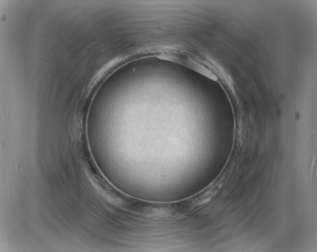 X0000085280107200703231817