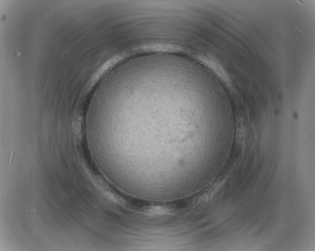 X0000085280111200703231817