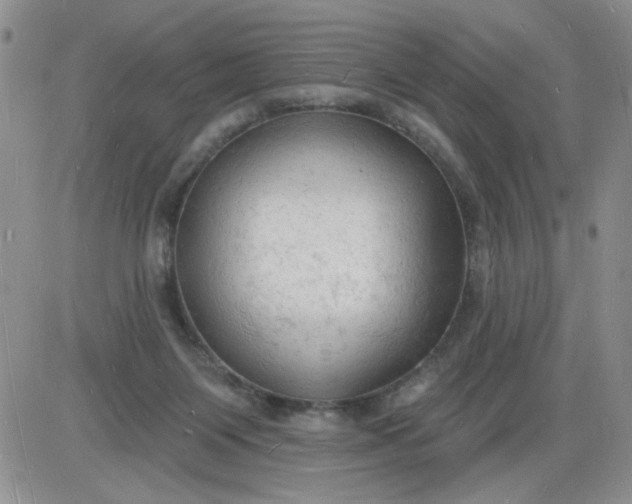 X0000085280119200703231817
