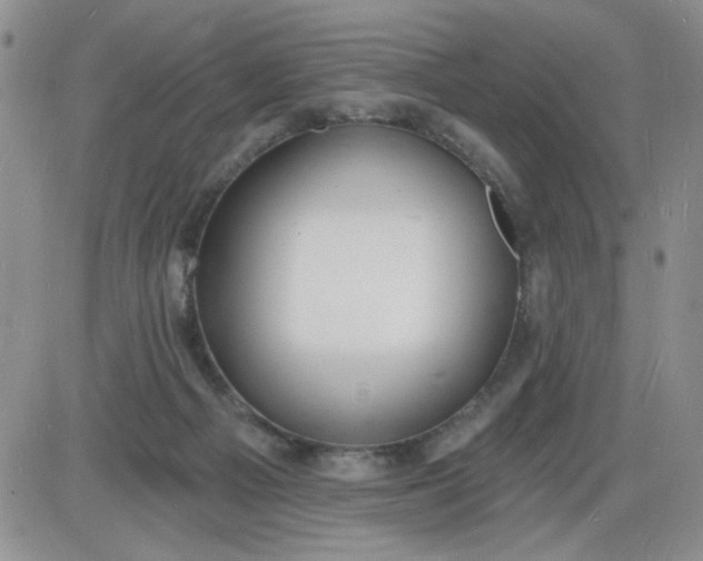 X0000085280121200703231817