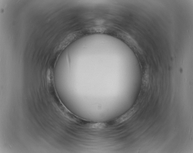 X0000085280122200703231817