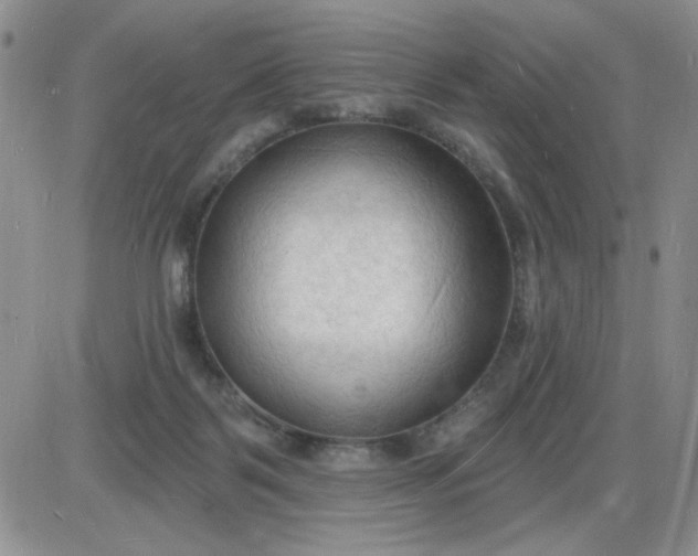 X0000085280123200703231817