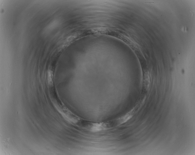 X0000085280130200703231817