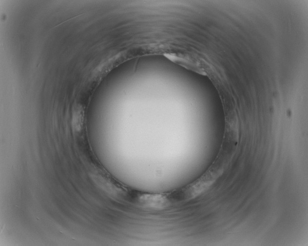 X0000085280133200703231817