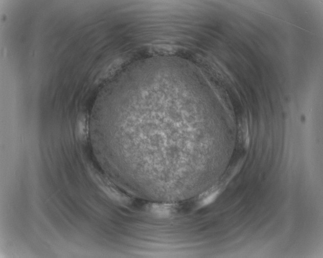 X0000085280134200703231817