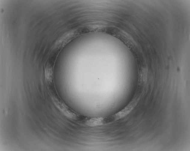X0000085280138200703231817