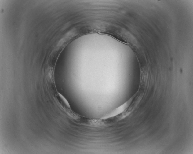 X0000085280141200703231817