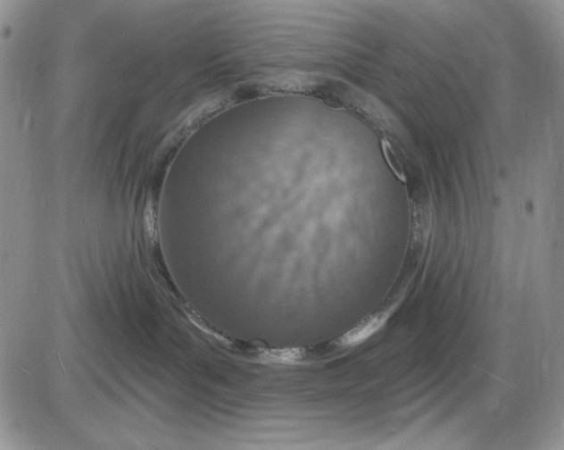 X0000085280143200703231817